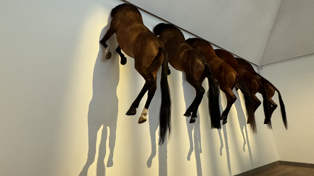 \"Horses